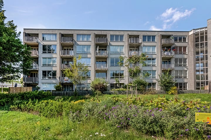 Foto 1 van Mr. Samuel van Houtenhof 24