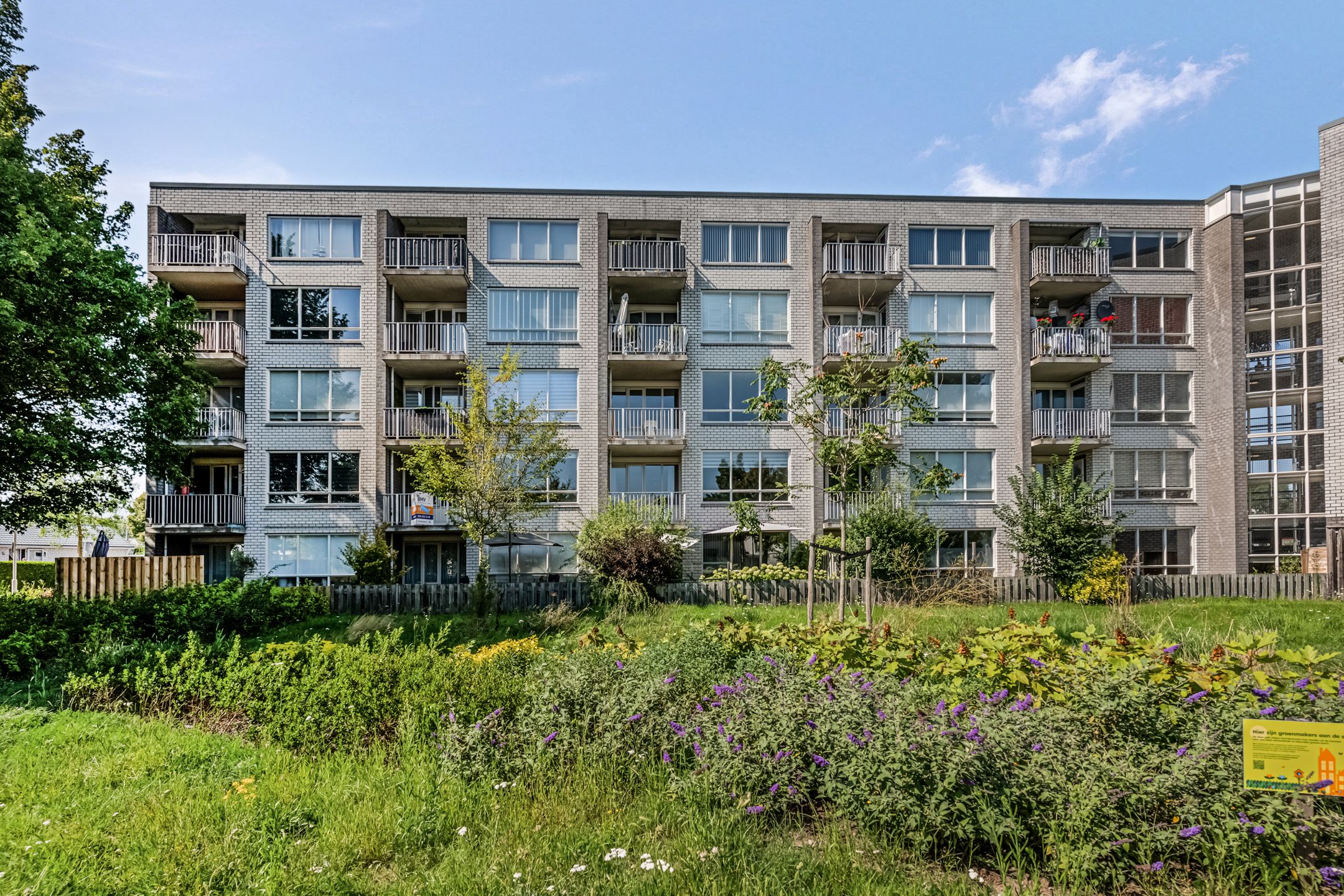 Mr. Samuel van Houtenhof, 24, Arnhem, 6836HD, Gelderland, Nederland 24 