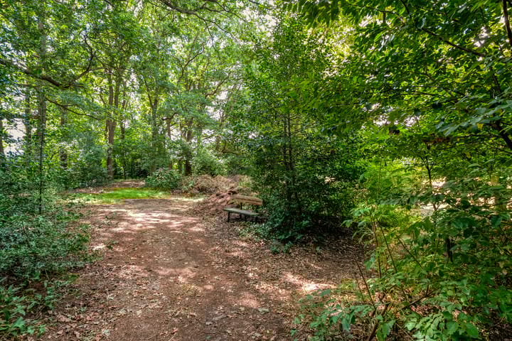 Foto 87 van Nolderweg 4