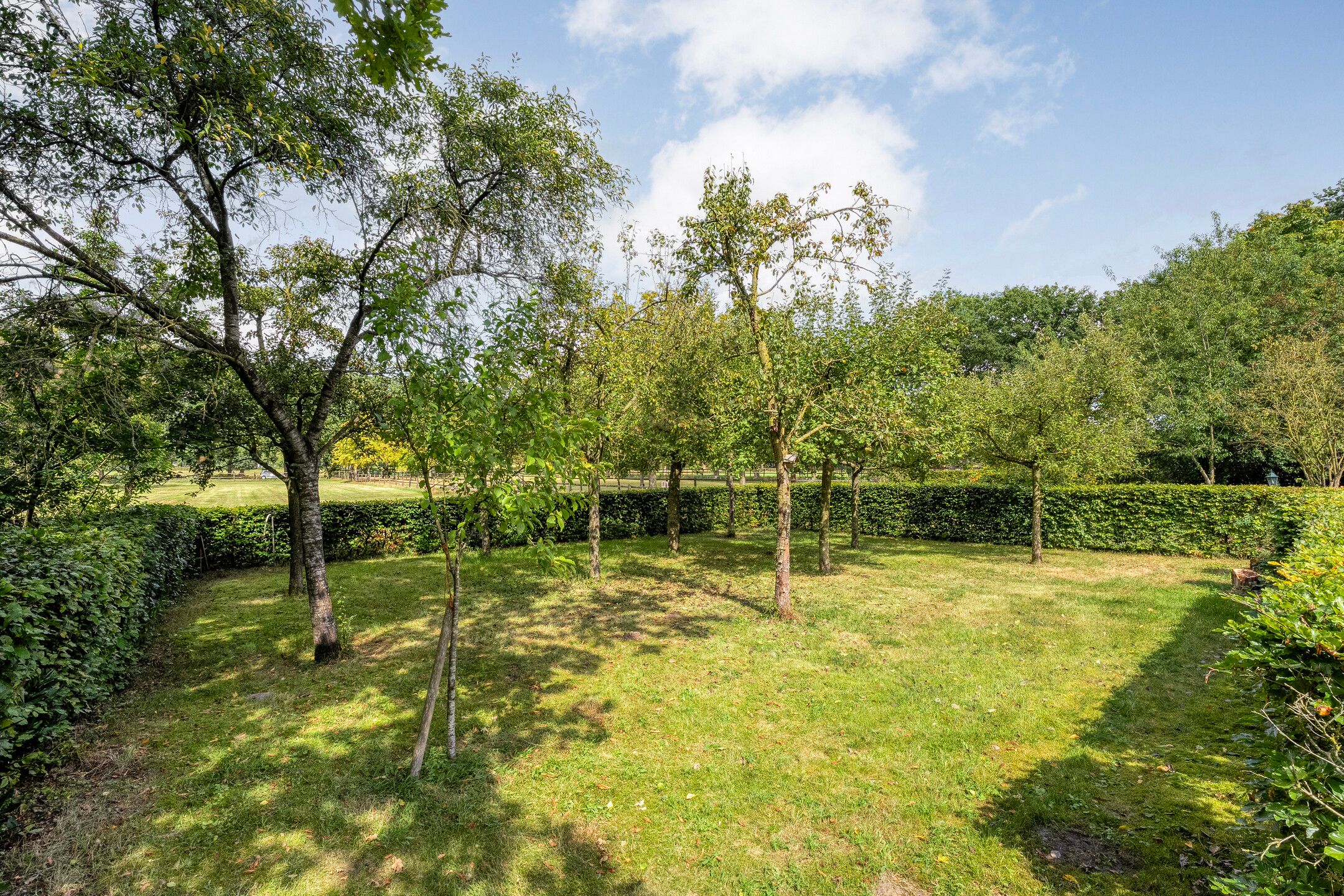 Photo 90 of Nolderweg 4