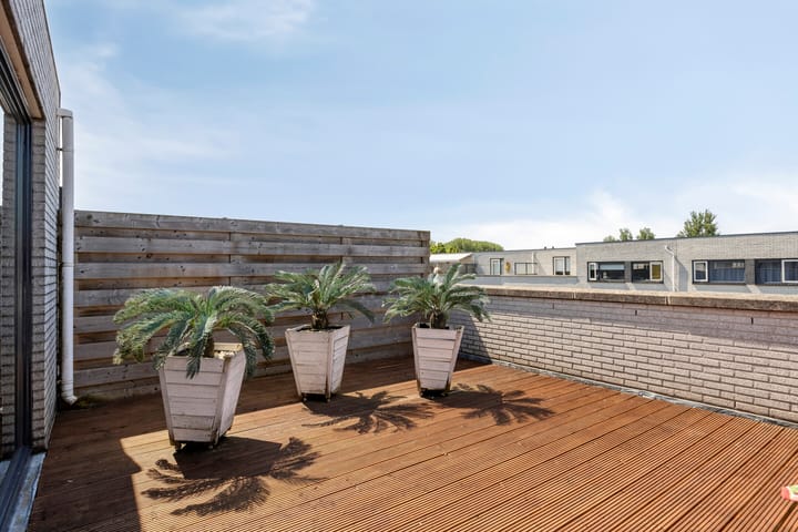 Foto 34 van Aburahout 33