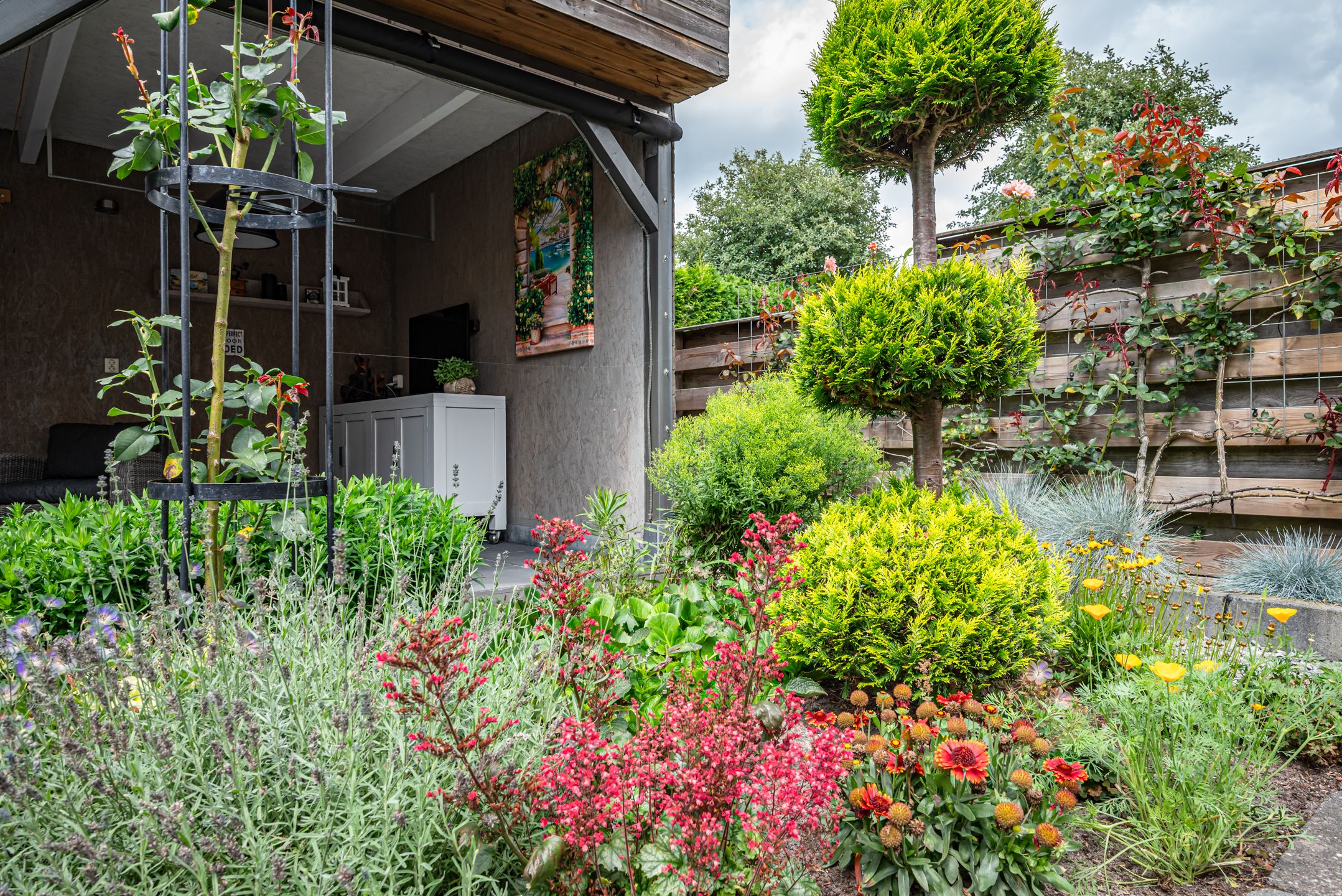 Foto 30 van Grutto 12