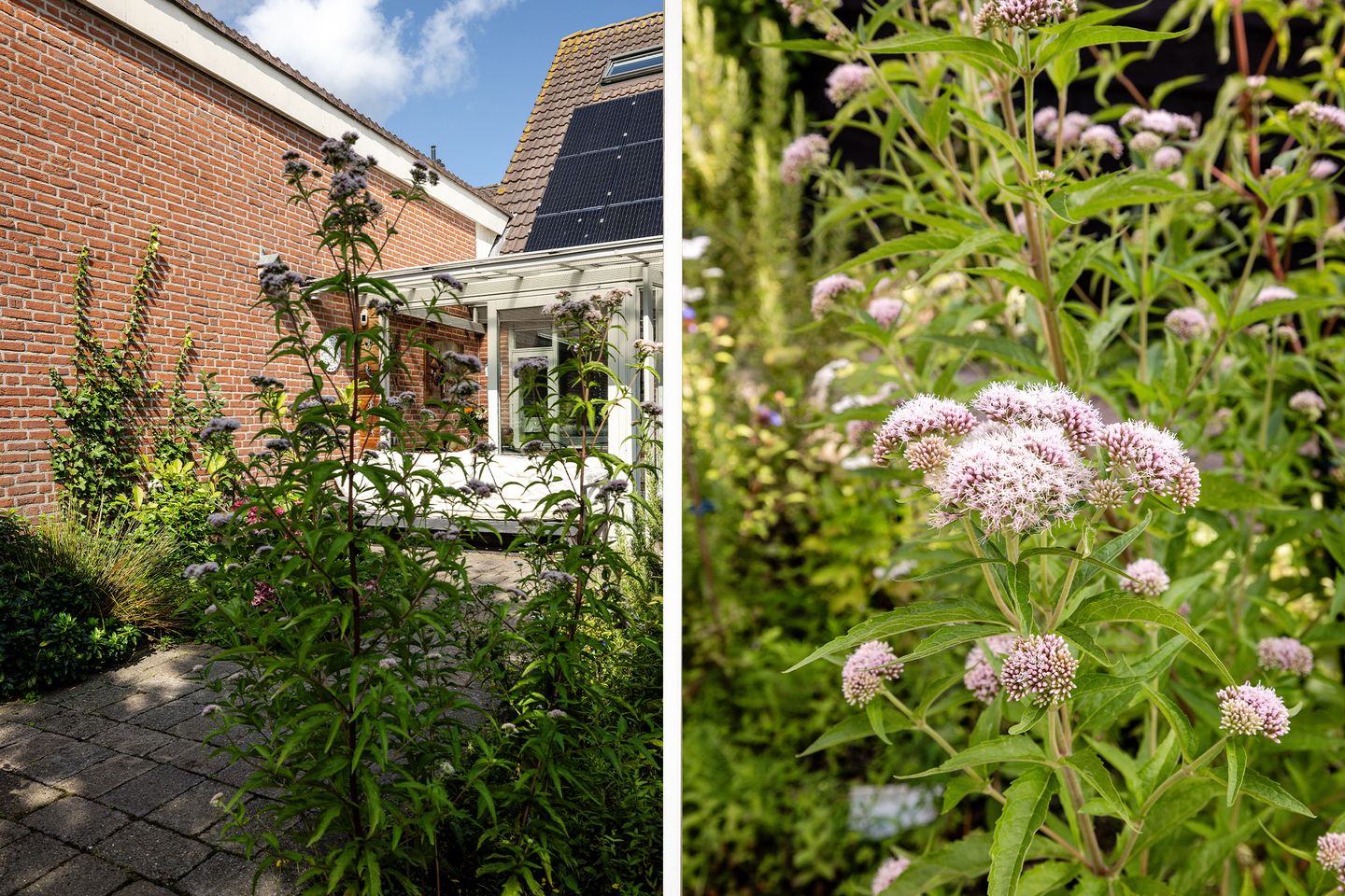 Photo 19 of Rosa Spierstraat 36