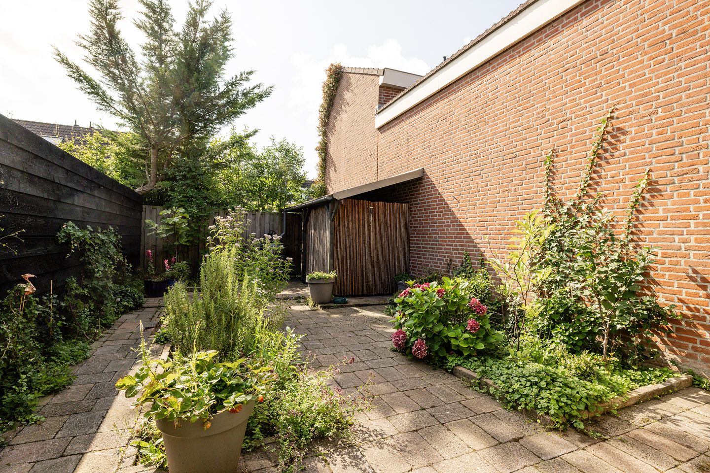 Photo 20 of Rosa Spierstraat 36