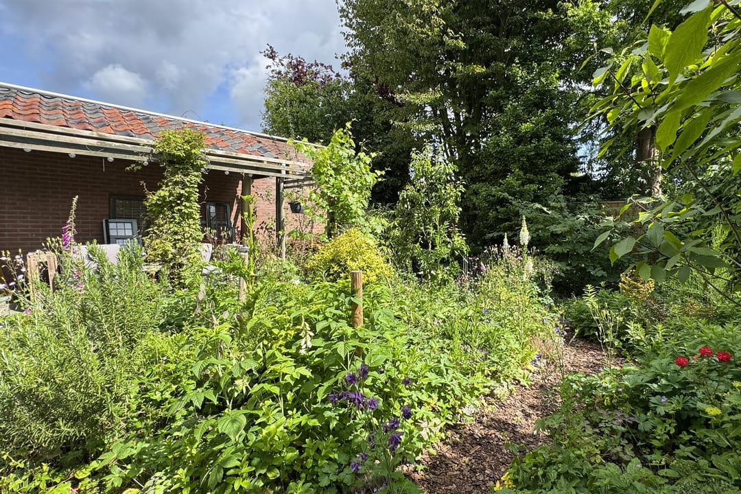 Foto 62 van Markt 30