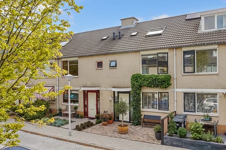 undefined main image