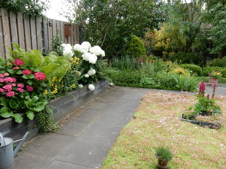 Foto 29 van Wethouder Broekmanstraat 5