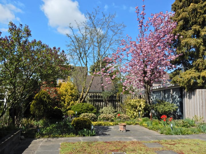 Foto 30 van Wethouder Broekmanstraat 5