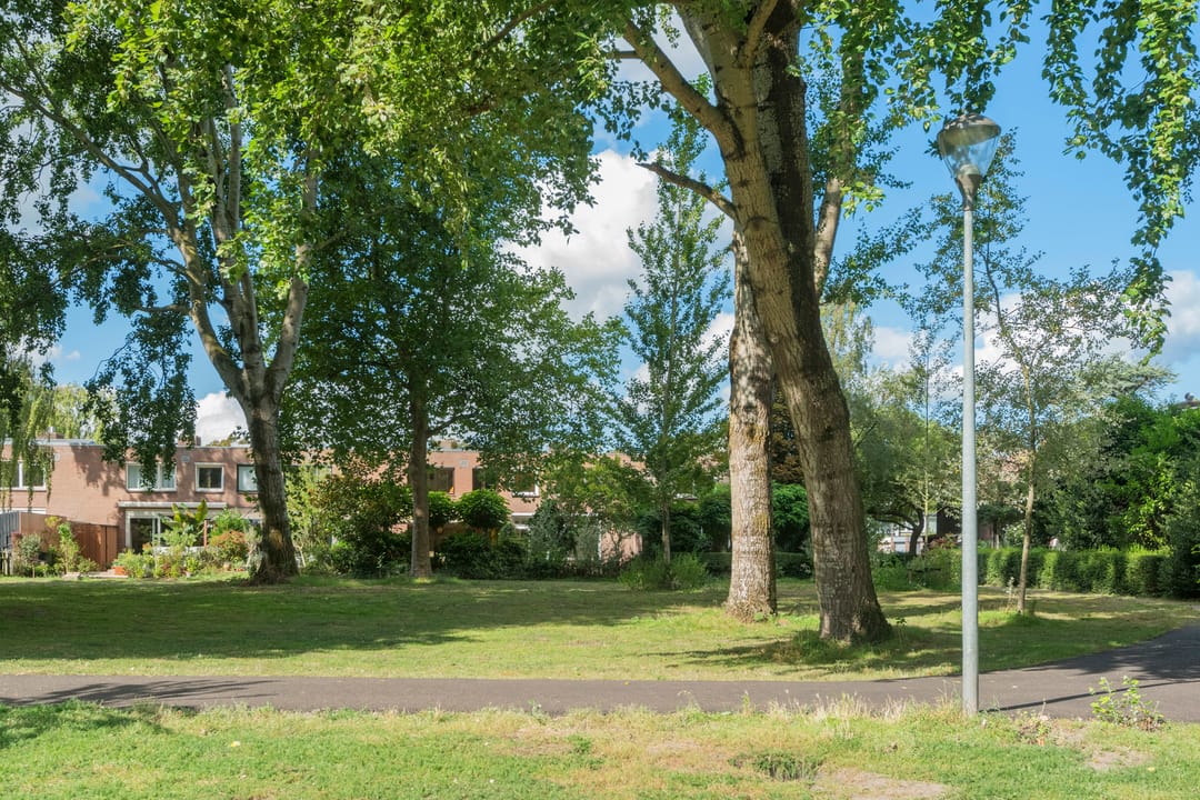 Foto 41 van Vliek 28