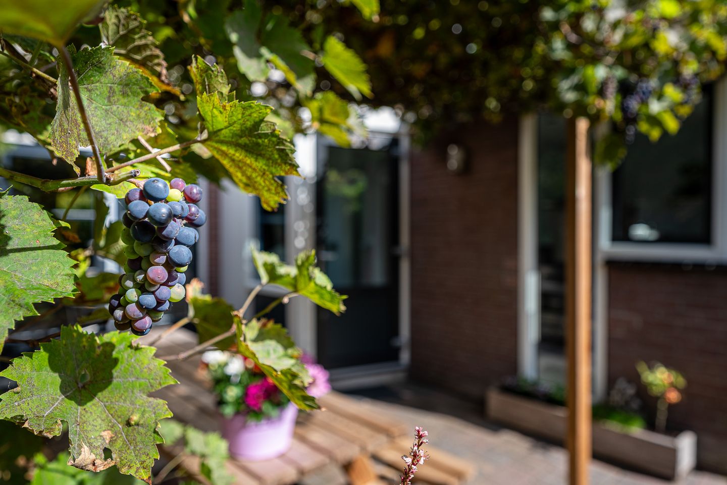 Foto 40 van Gentiaanweg 27