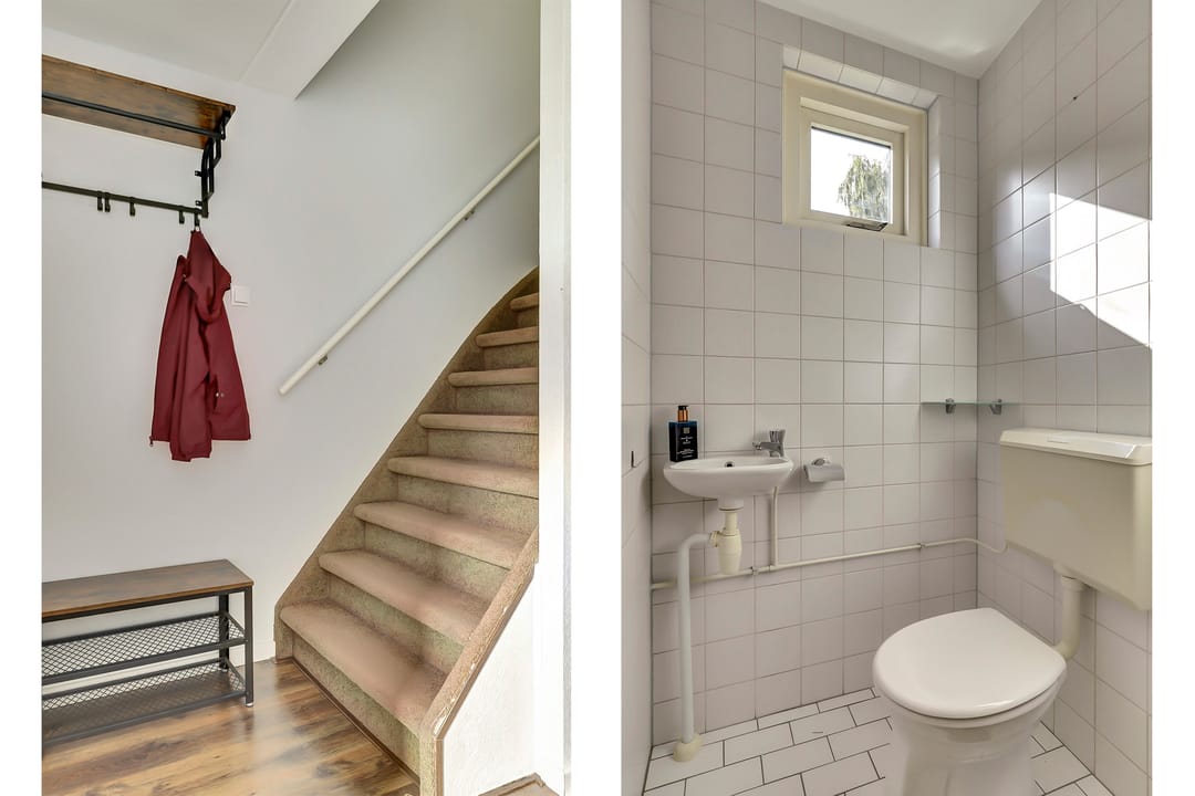 Foto 8 van Koolmees 7