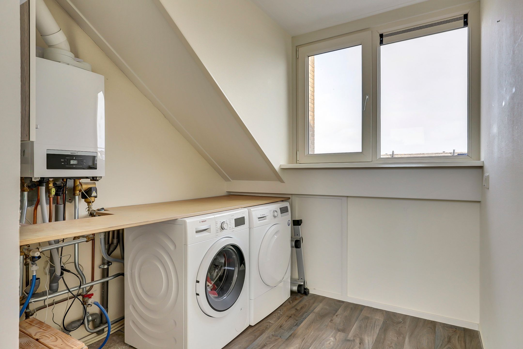 Foto 24 van Koolmees 7