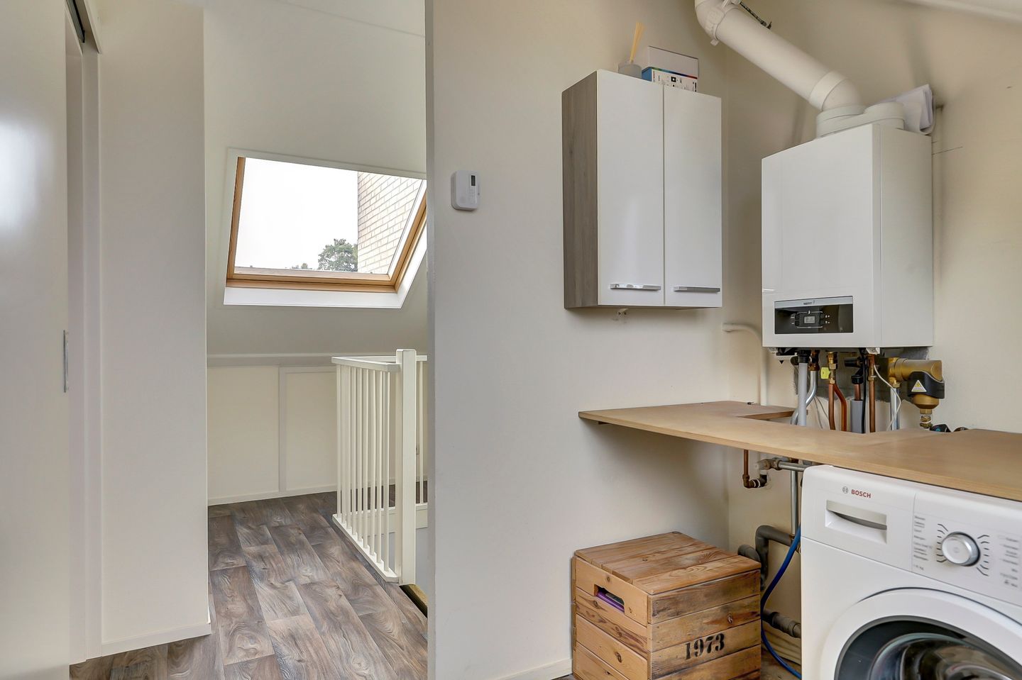 Foto 25 van Koolmees 7