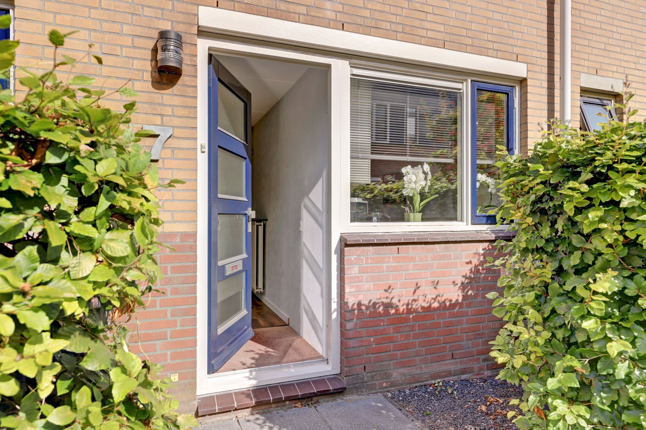 Foto 33 van Koolmees 7