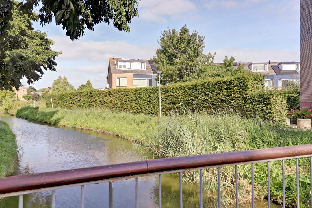 Foto 37 van Koolmees 7