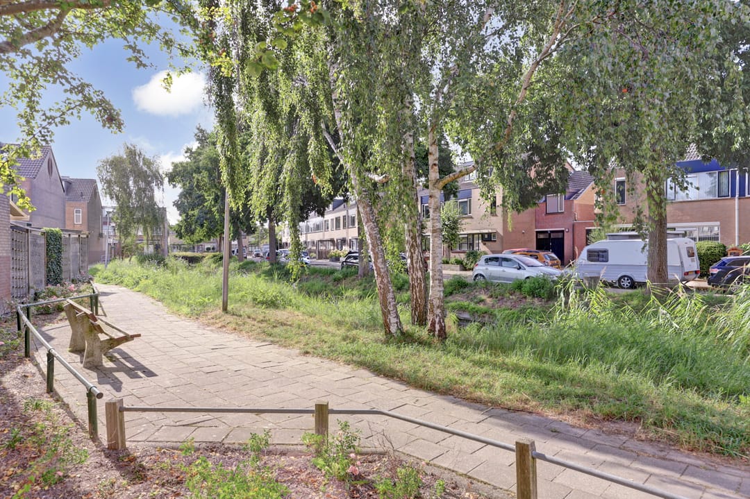 Foto 38 van Koolmees 7