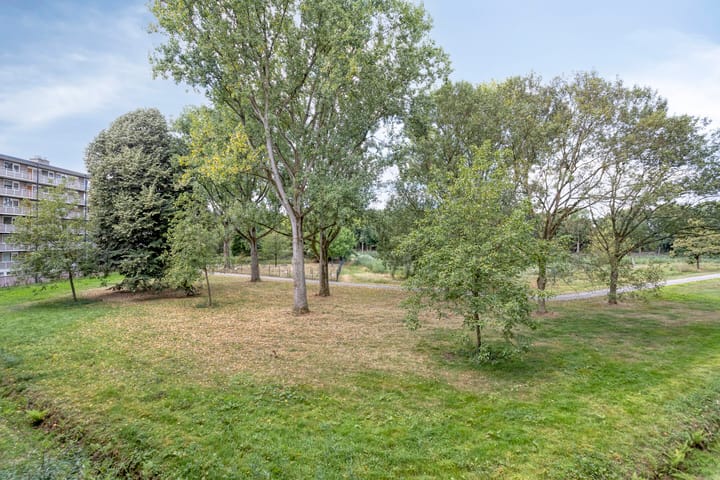 Foto 20 van Kruiskampsingel 343