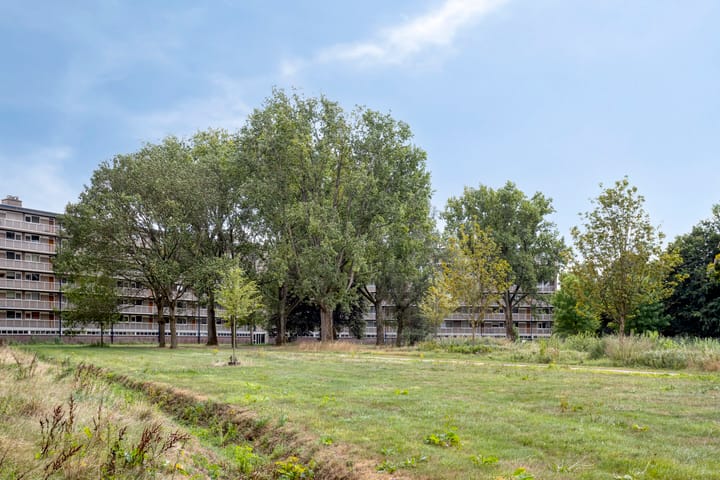 Foto 21 van Kruiskampsingel 343