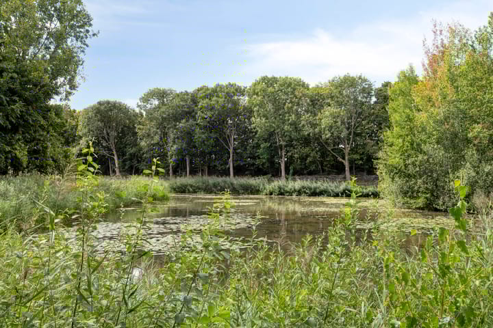 Foto 22 van Kruiskampsingel 343