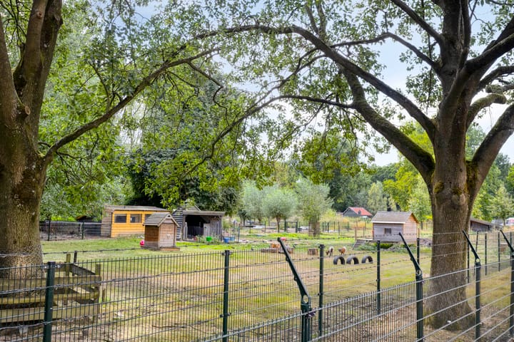 Foto 24 van Kruiskampsingel 343