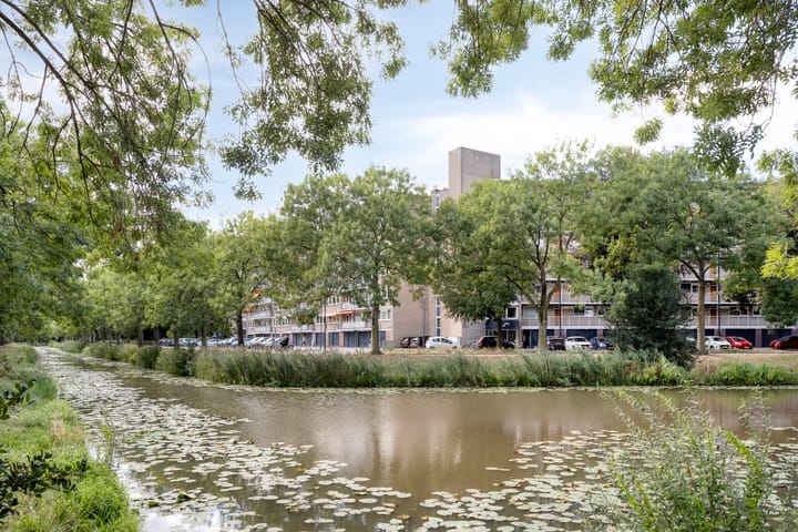 Foto 25 van Kruiskampsingel 343