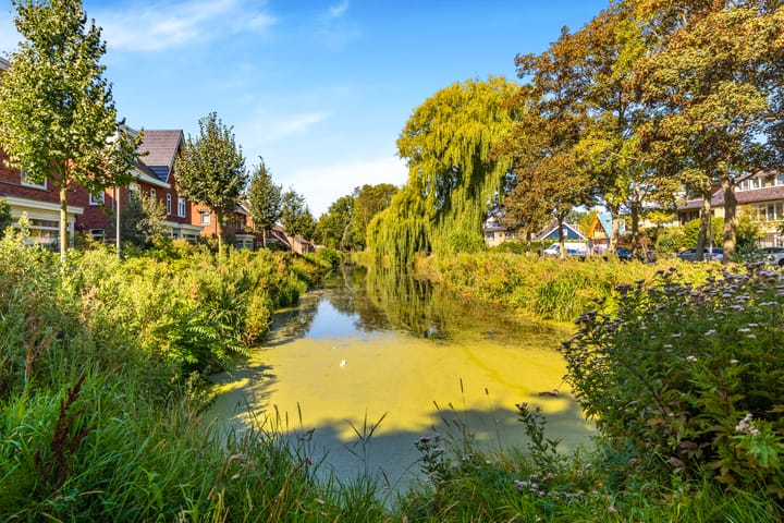 Foto 45 van Willem de Zwijgerlaan 118