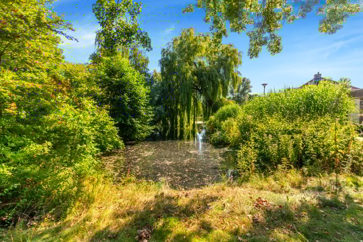 Foto 46 van Willem de Zwijgerlaan 118