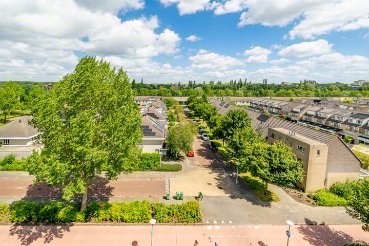 Foto 11 van Felix de Nobelhof 42