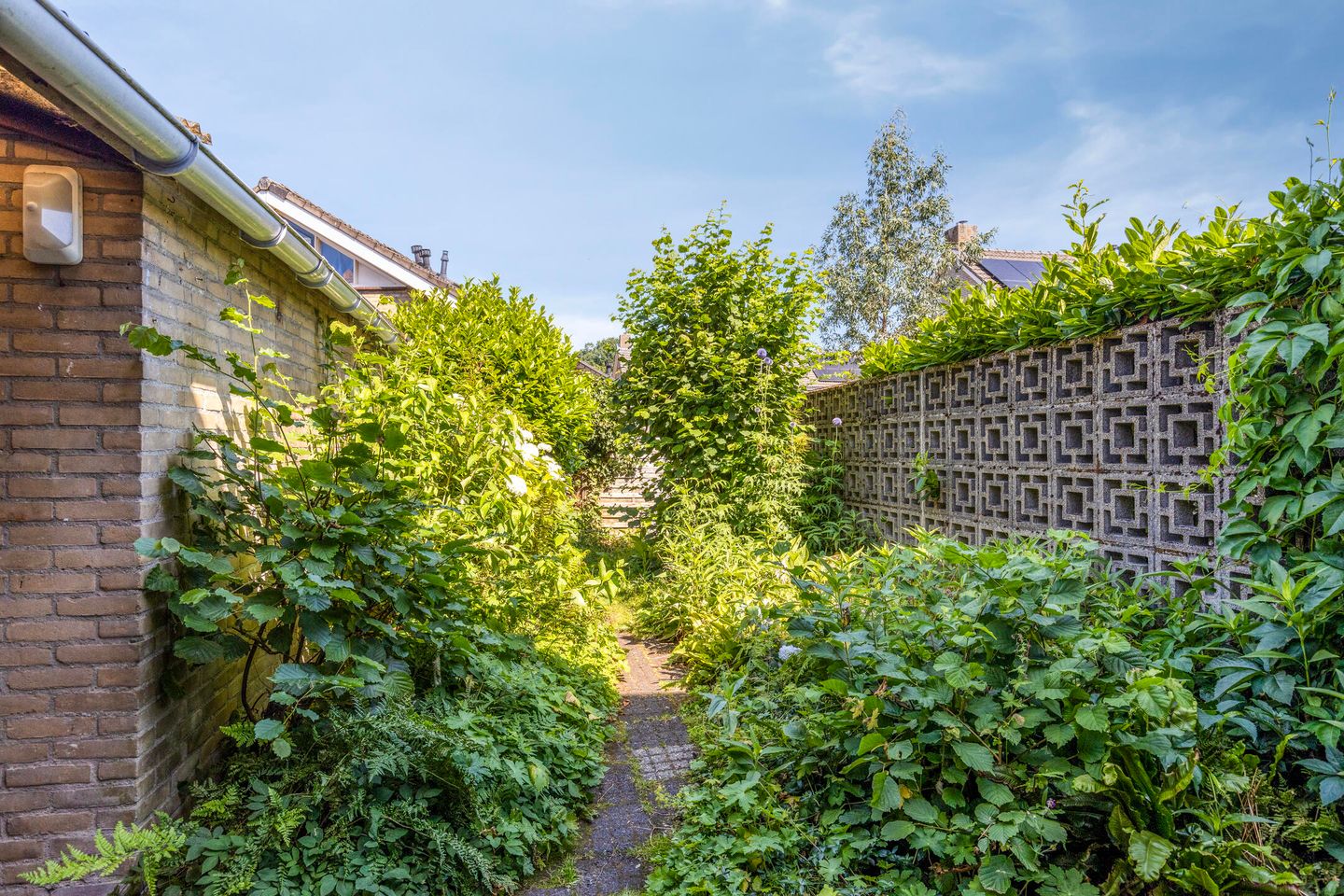 Foto 29 van van Speijkstraat 27