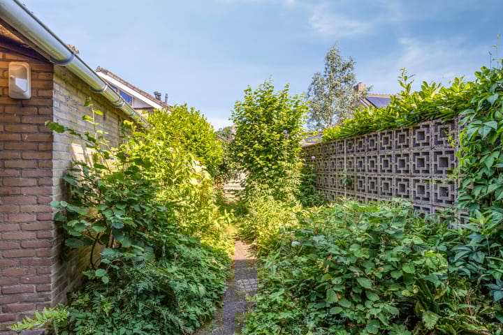 Foto 29 van van Speijkstraat 27