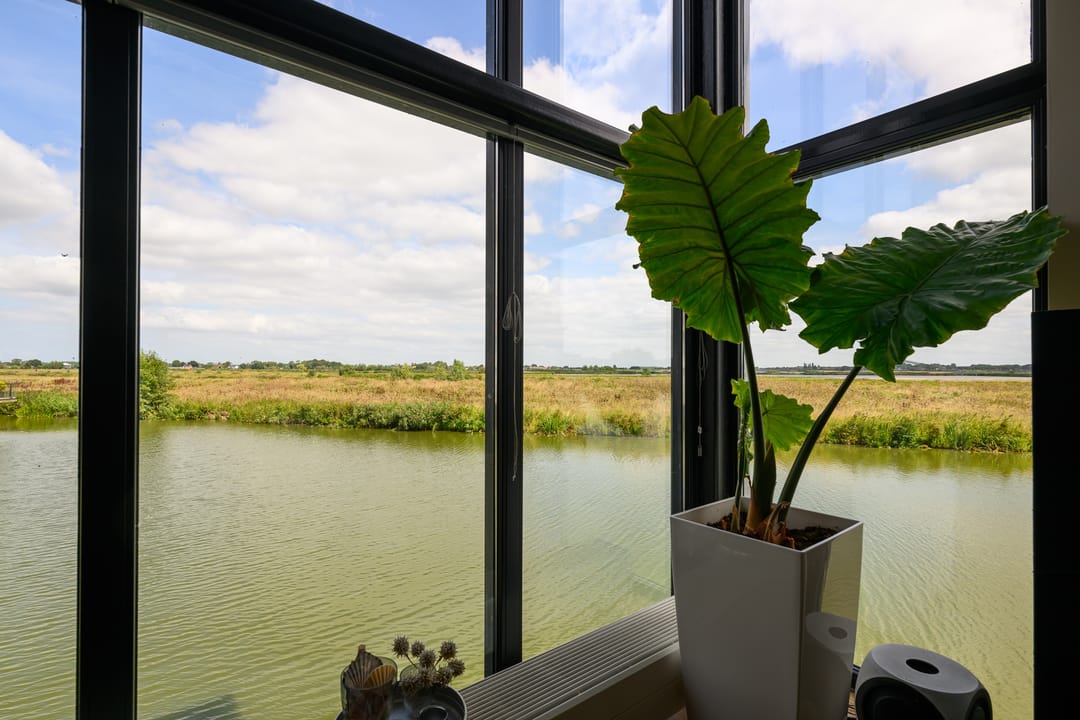 Foto 38 van Dodaarsoever 3