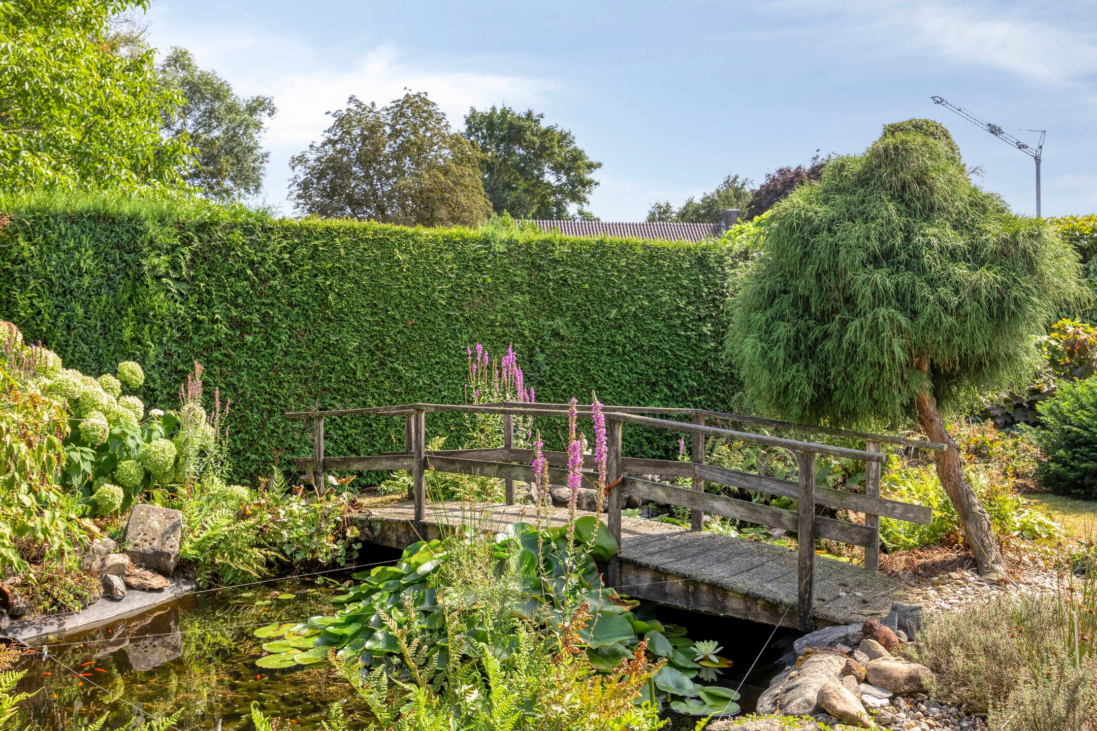 Foto 24 van Zomerstraat 8