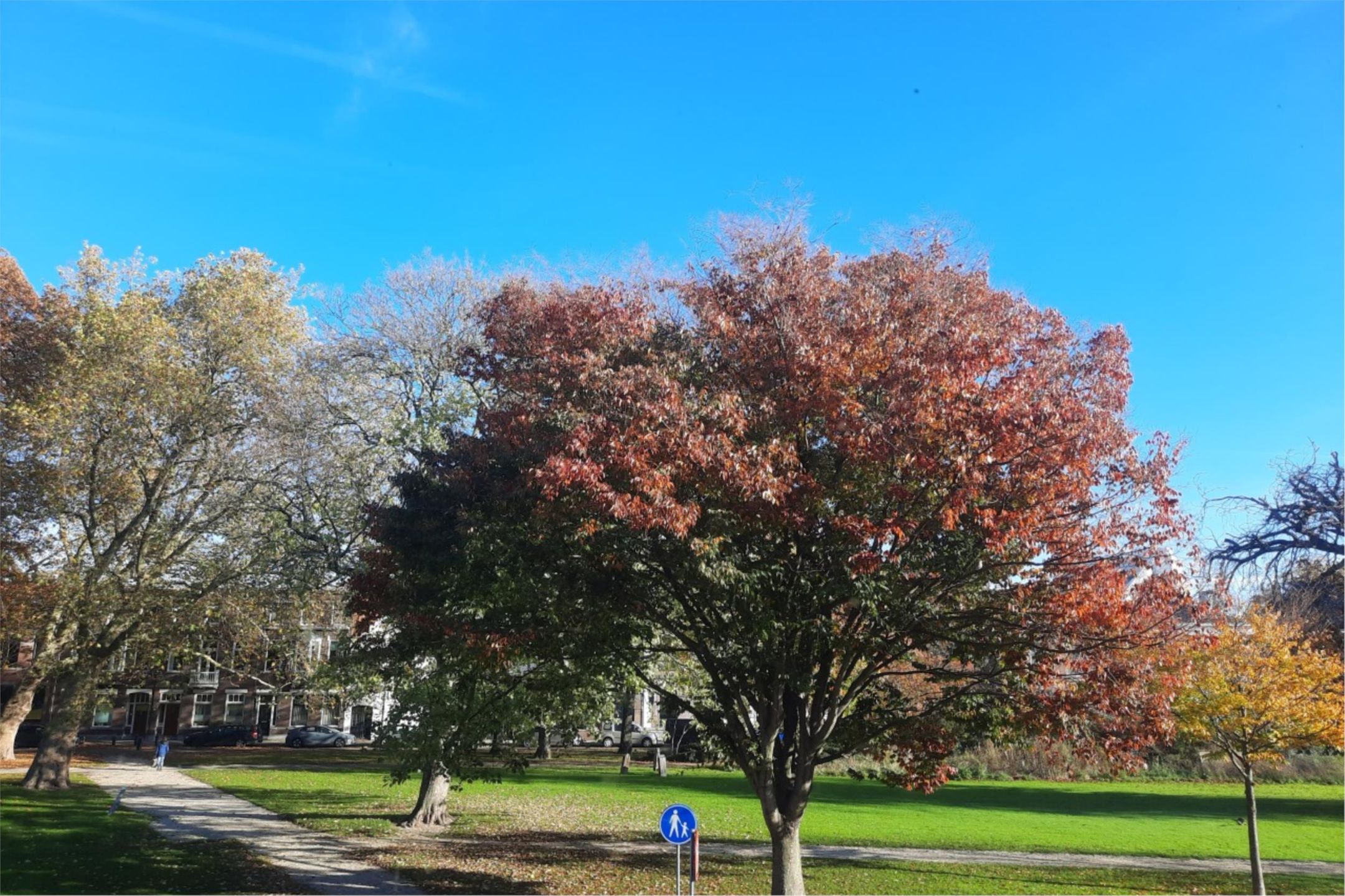 Photo 51 of Lange Nieuwstraat 145