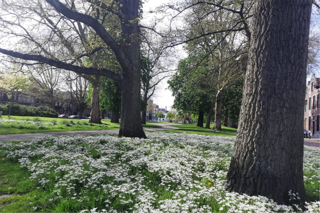 Photo 53 of Lange Nieuwstraat 145