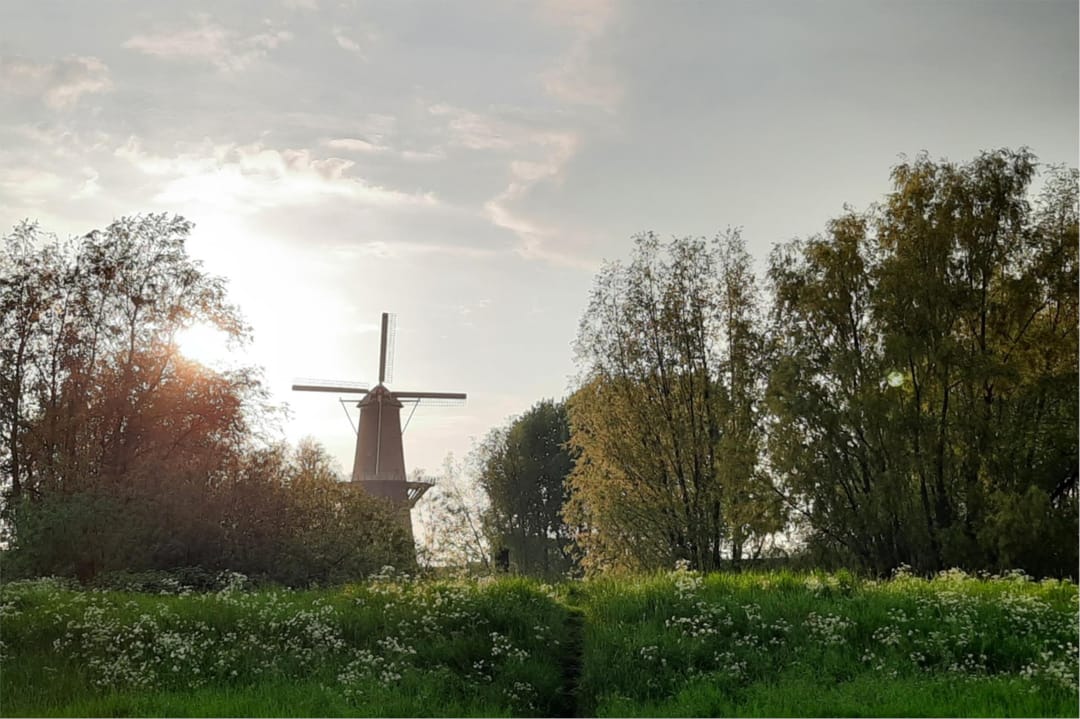 Photo 58 of Lange Nieuwstraat 145