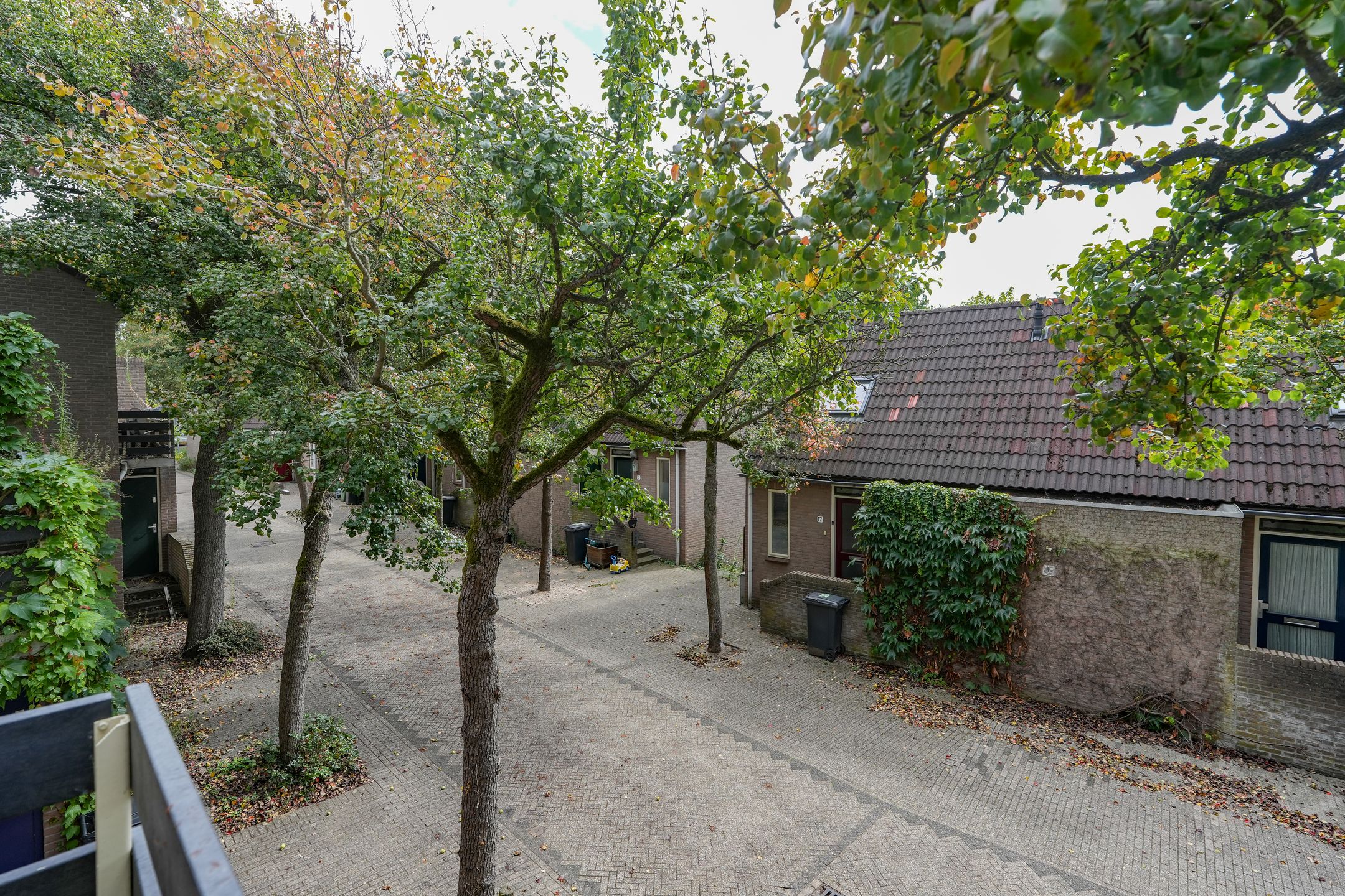 Foto 27 van De Toverdans 18