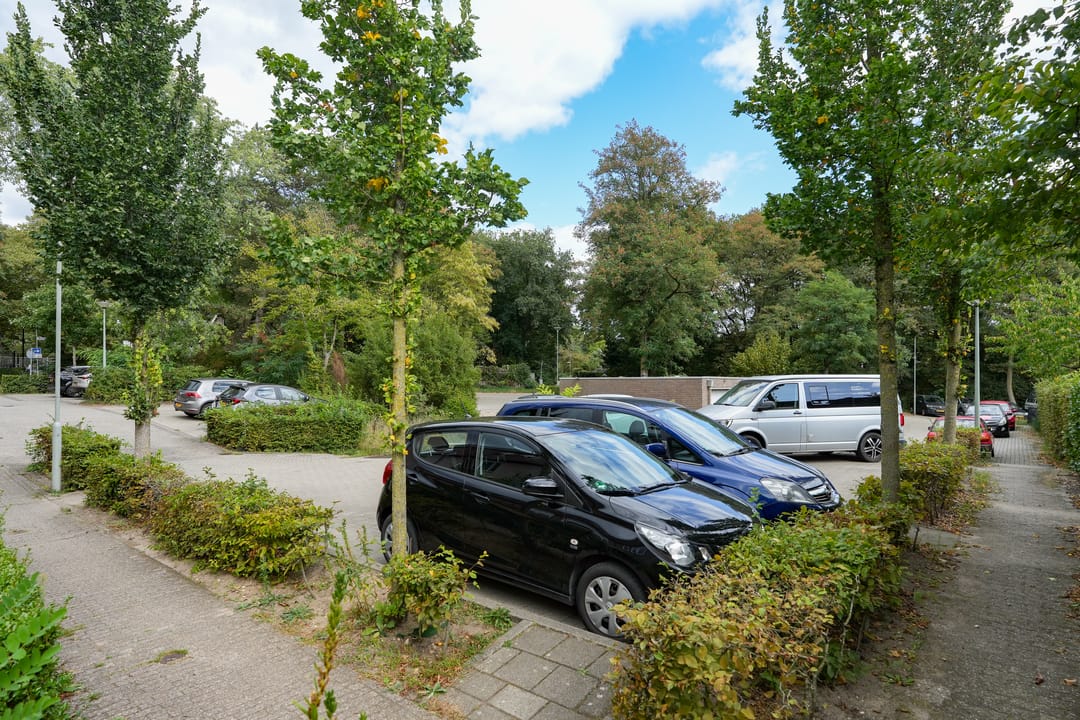 Foto 37 van De Toverdans 18