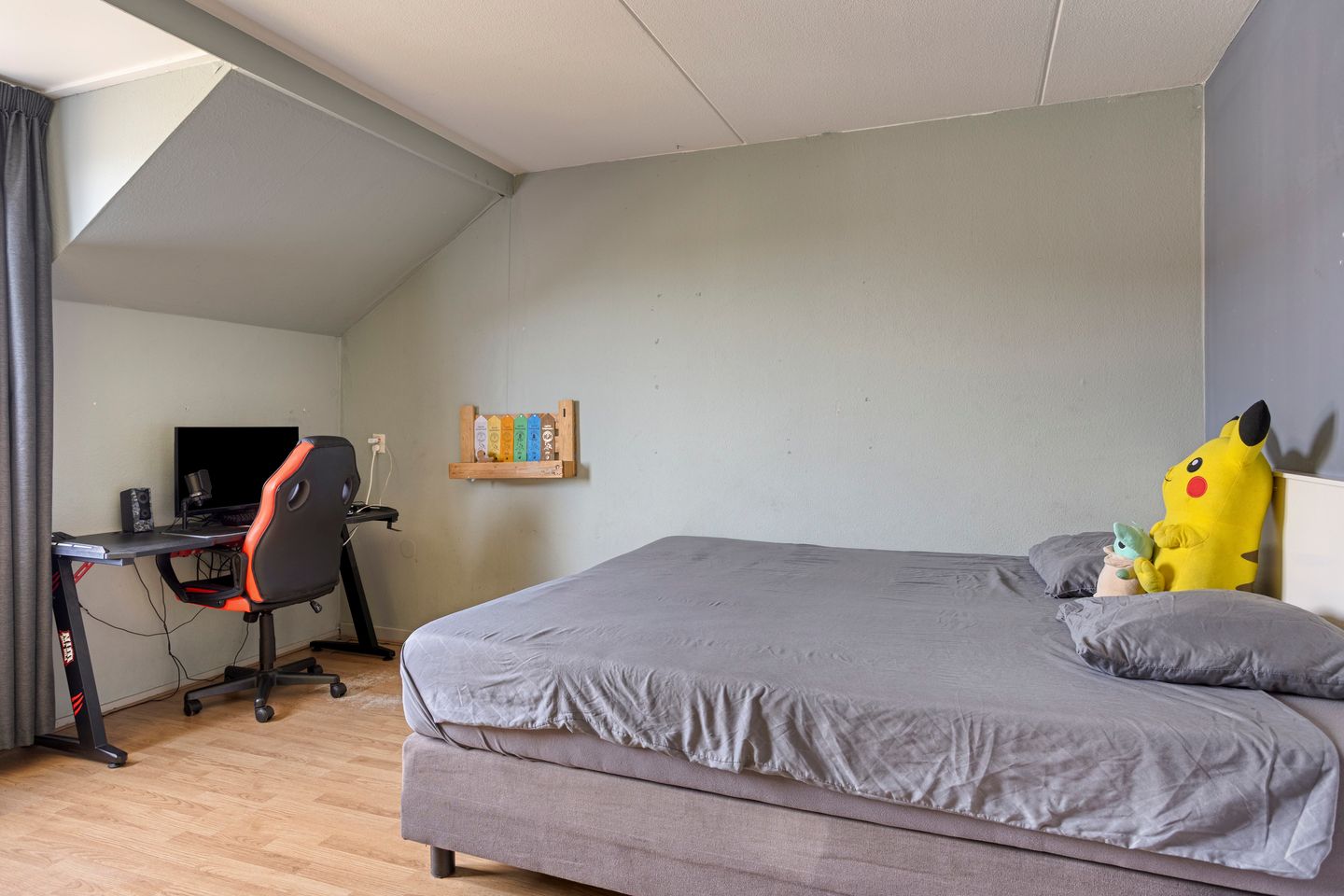 Foto 25 van Pashegge 5