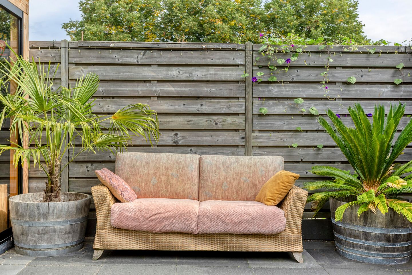 Foto 35 van Pashegge 5