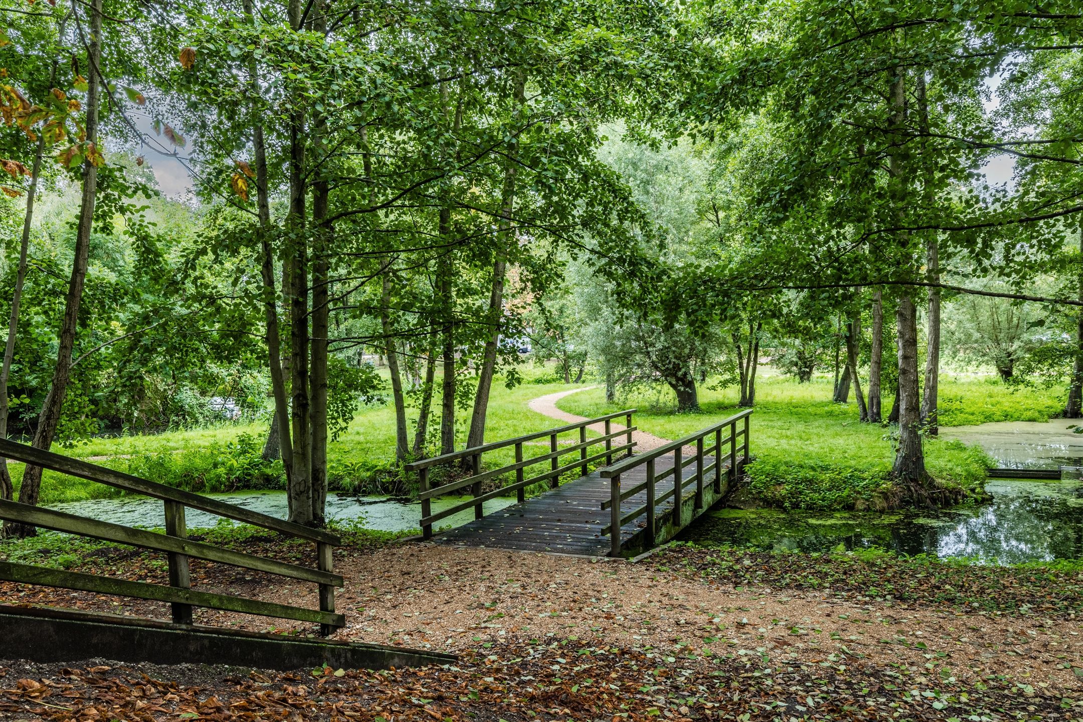 Foto 27 van Rijnbeekstraat 358