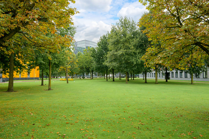 Foto 5 van Nonnenveld 68