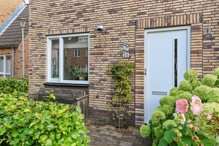 Foto 5 van Sneekermeerplantsoen 26