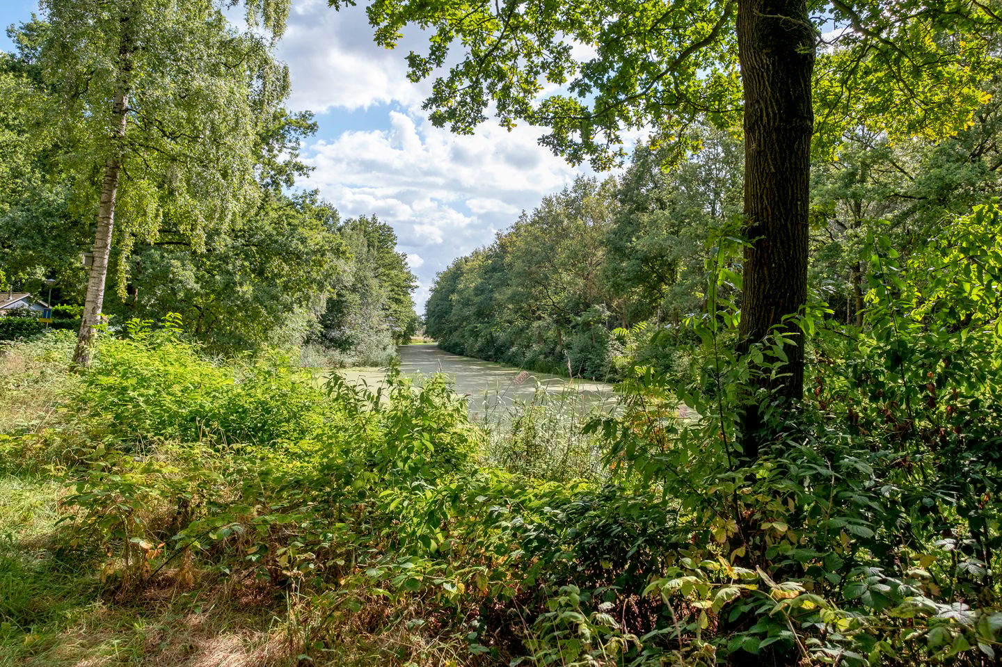 Foto 29 van Kanaal O.Z. 9-82