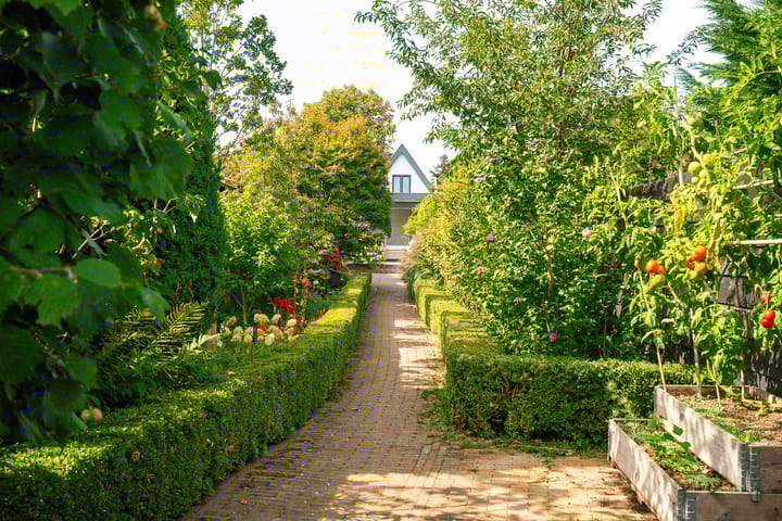 Photo 44 of Kennemerstraatweg 236