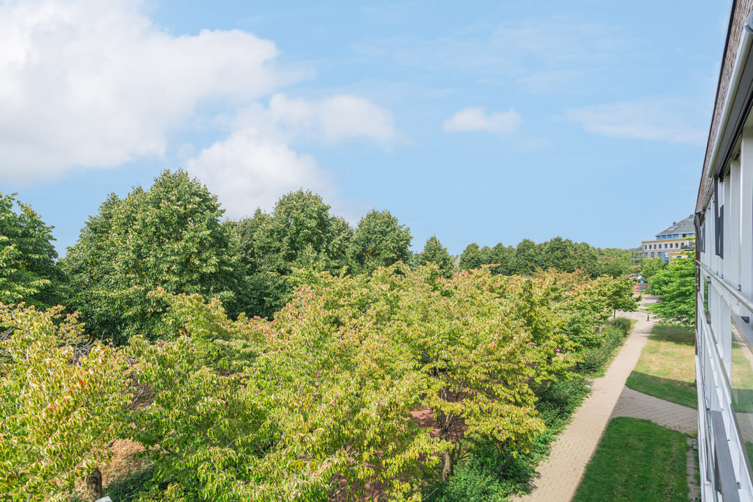 Photo 28 of Zonnehout 45