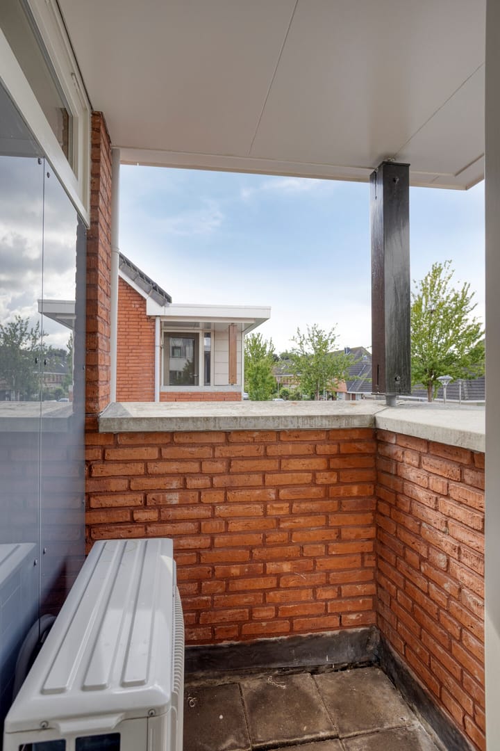 Foto 19 van Poolster 6