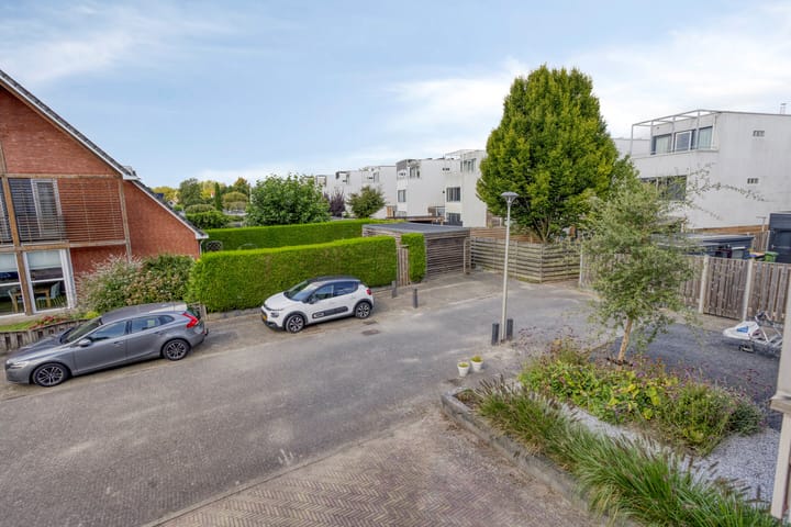 Foto 20 van Poolster 6