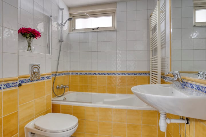 Foto 21 van Poolster 6