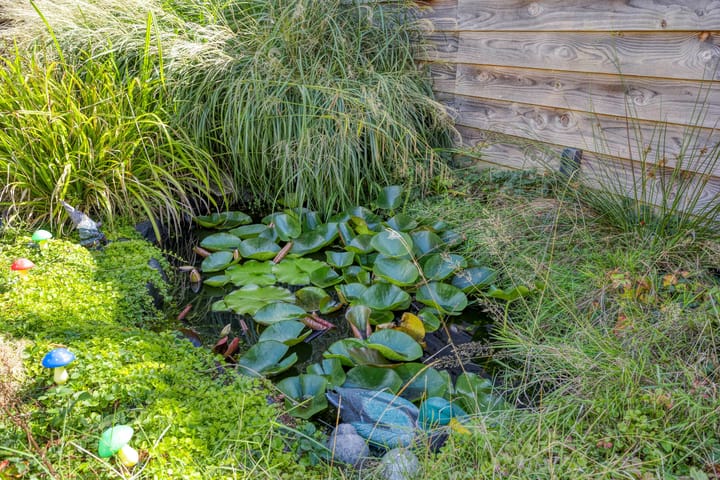 Foto 32 van Poolster 6