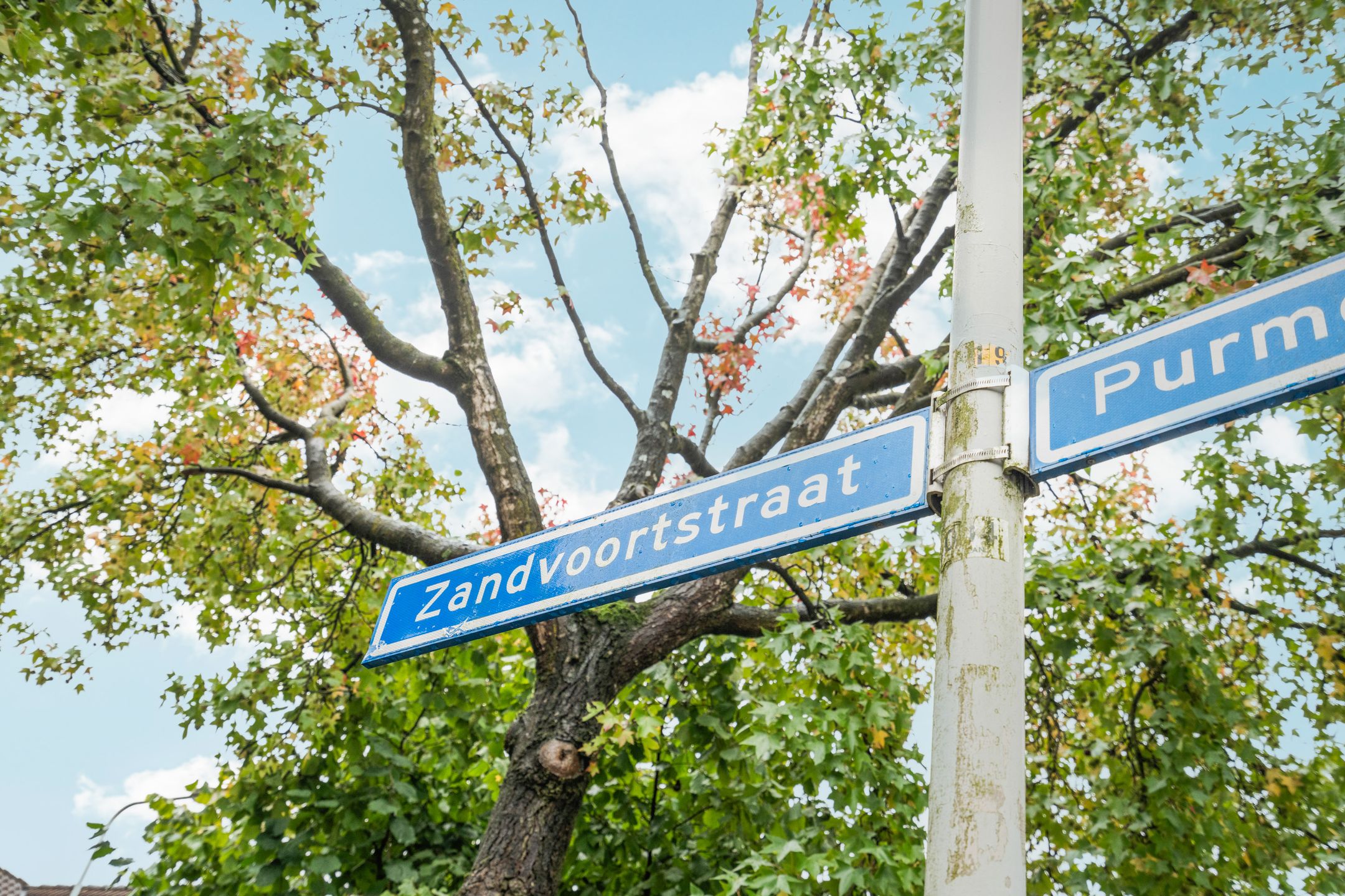 Foto 42 van Zandvoortstraat 13